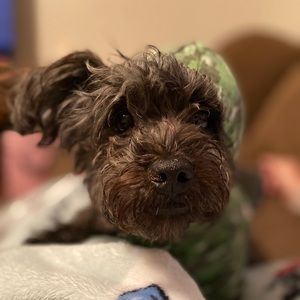 Meet your Posher, Caitlynn